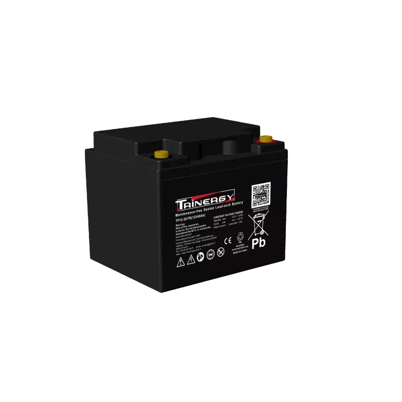 Authentique TP12-38FR BATT AGM TRINERGY 12V 38A C10 FR M6