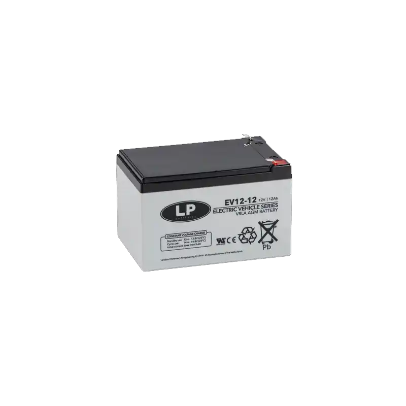 Livraison Express EV12012 BATT AGMCYCLAGE 12V 12A C20