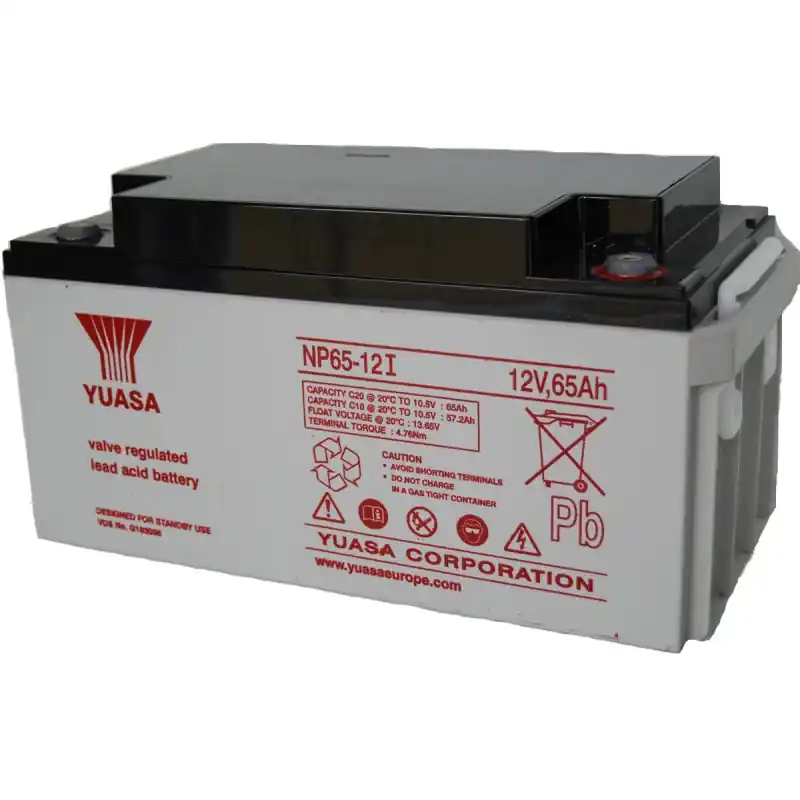 Offre Du Jour BATT.AGM YUASA NP65-12I 12V 65APB *P36*