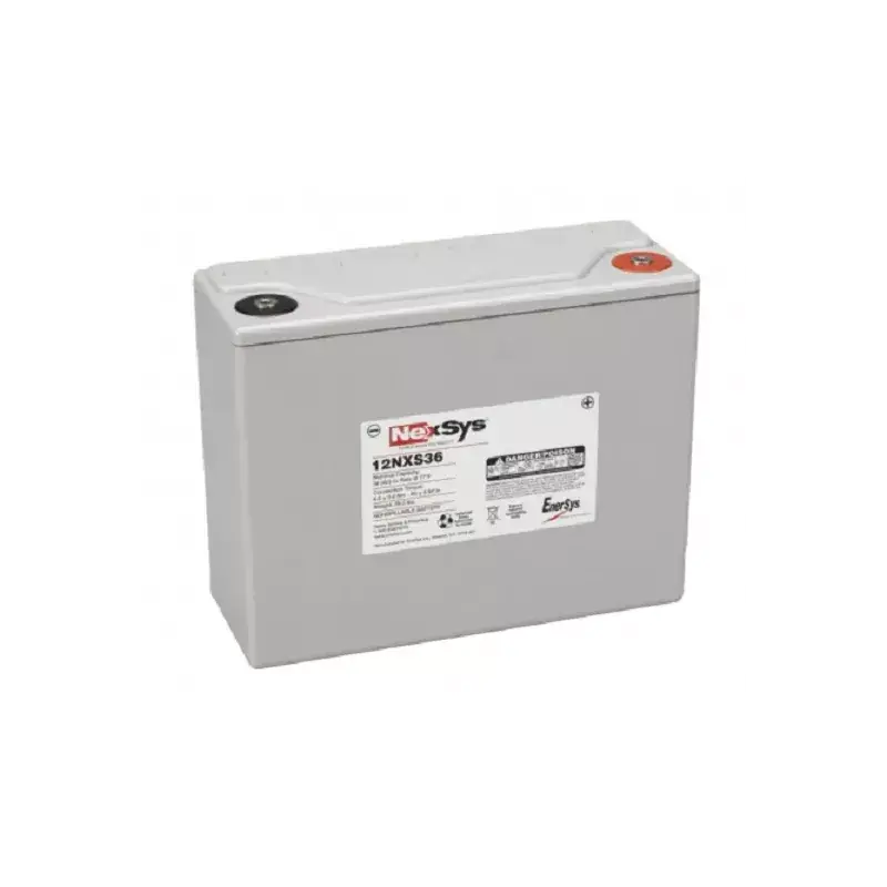 12NXS36 BATT AGM NEXSYS 12V 36A C5 ENERSYS *TRACTION LEGERE* Livraison Gratuite