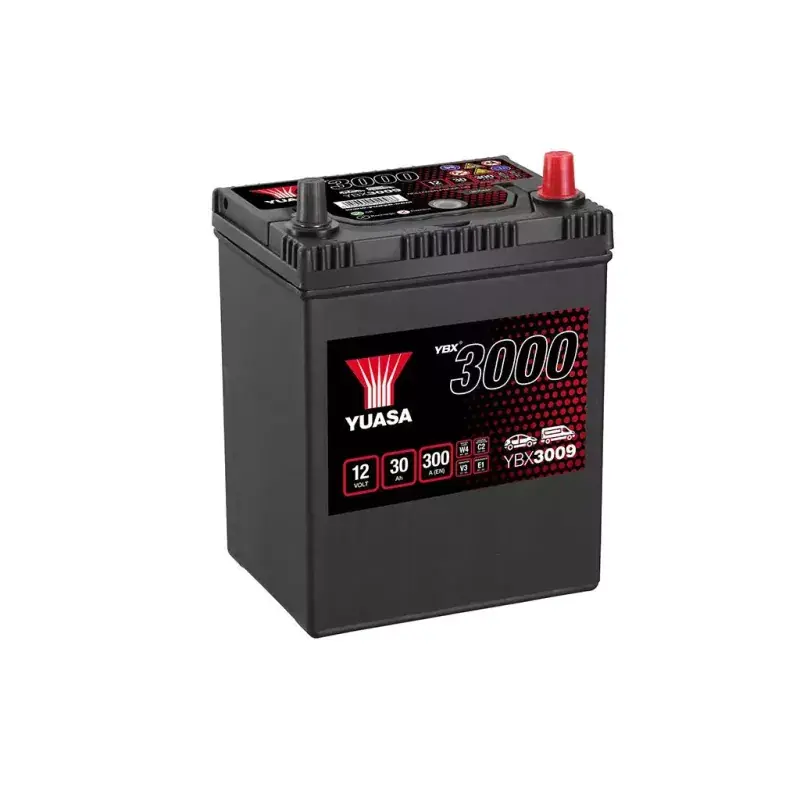 Meilleur Choix E1D YBX3009 12V 30A 300A EN AIXAM