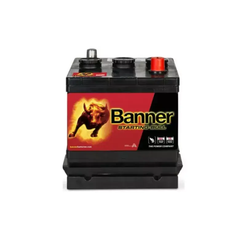 Original BANNER | BATTERIE AUTOMOBILE 6V 66Ah | Ref : 66012 | PMB