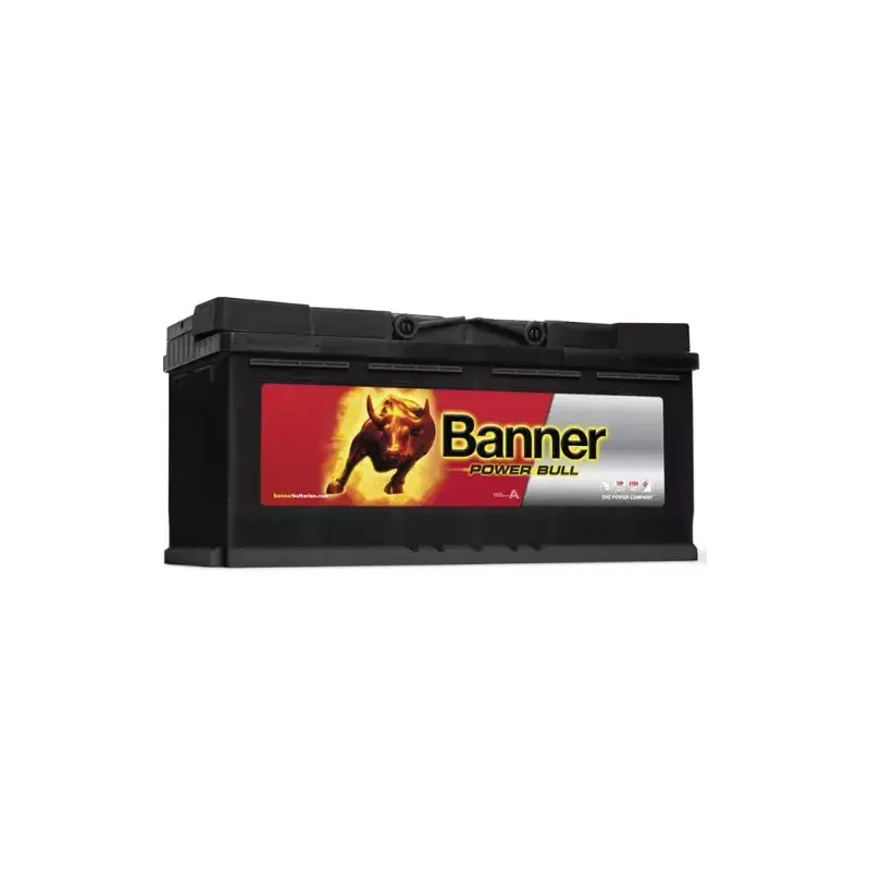 Artisanat BANNER | BATTERIE AUTOMOBILE 12V 100Ah | Ref : P11040 | PMB