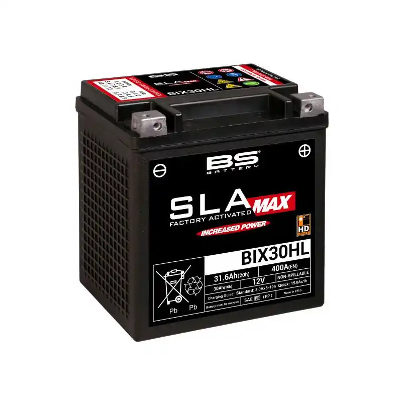 En Vogue BTX30HL SLA MAX12V 30A C10 TYPE GYZ32HL *2* +D