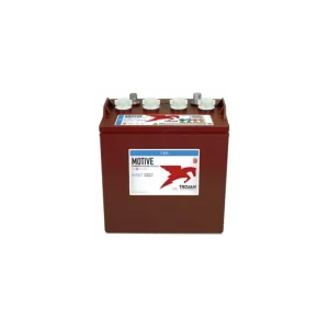Batterie TROJAN T-875 8V 170Ah Retour Gratuit
