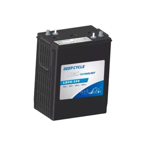 Batterie LEOCH LDC6-350 6 V 350 Ah Vente Flash
