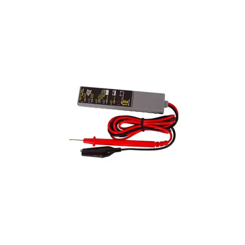 Super Prix TESTEUR DIGITAL 12V CT