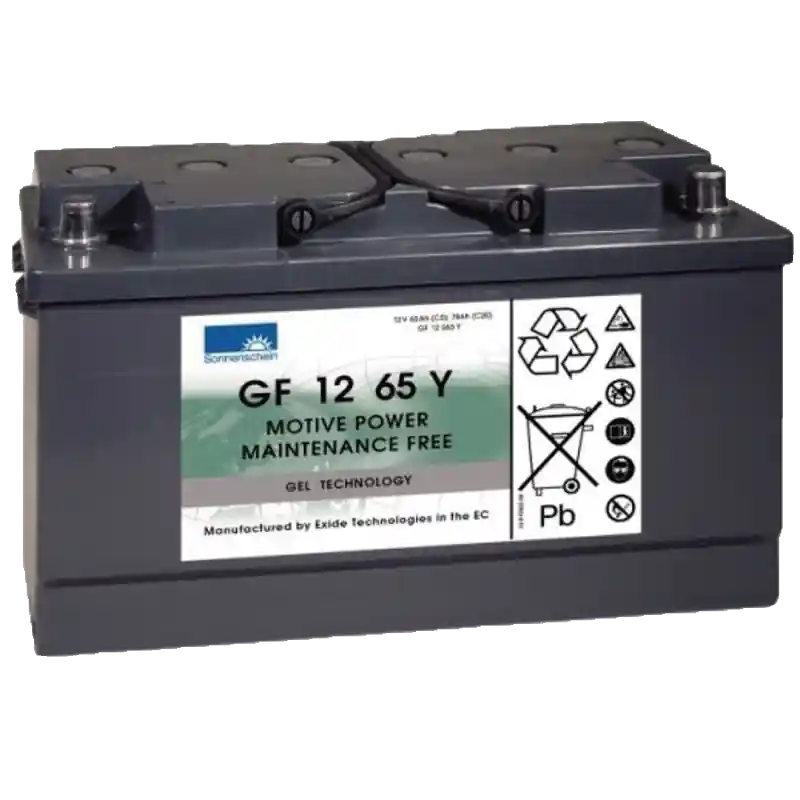 Usine Directe Batterie traction GEL SONNENSCHEIN GF12065Y 12V78Ah