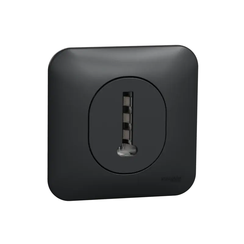 Ovalis - Prise téléphone en T - 8 contacts Avec plaque de finition -Anthracite- S460496 Promotion Saisonnière
